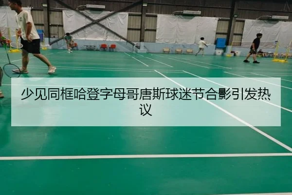 少见同框哈登字母哥唐斯球迷节合影引发热议